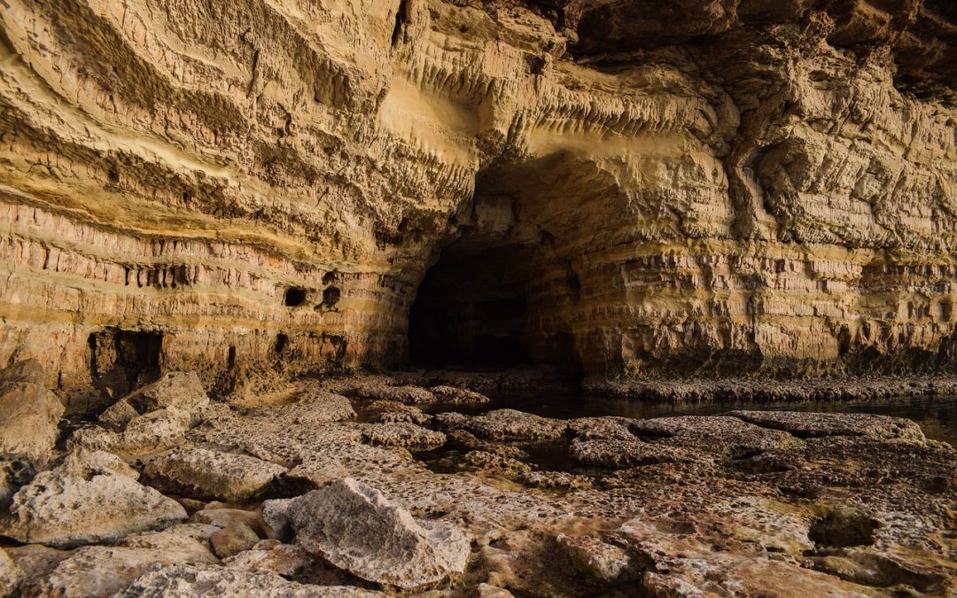 Outside the Cave: The Survival Recipe for Small Business